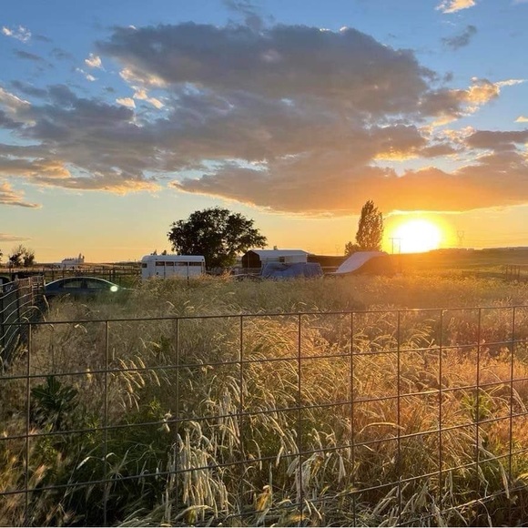 Meet your Posher, Dora - Picture 5 of 5